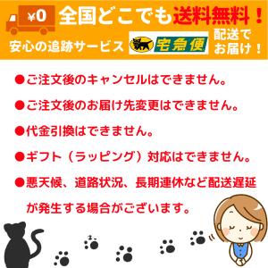 【収納ゴムバンド特典付き】15時までのご注文で...の詳細画像2