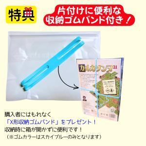 【収納ゴムバンド特典付き】15時までのご注文で...の詳細画像1