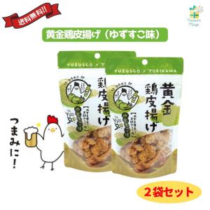 黄金鶏皮唐揚げ ゆずすこ味 45g 2袋セット 九州丸一  送料無料 翌営業日出荷｜トレジャービレッジ
