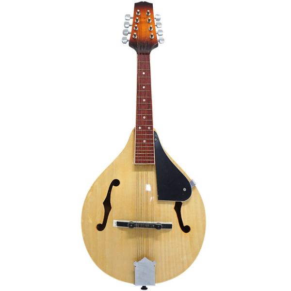 マンドリン Fホールマンドリン Mandolin 初心者用 初めてのマンドリン 入門用
