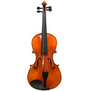 カルロジョルダーノ ビオラセット VL-2 15.5
