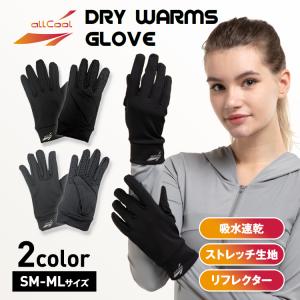 グローブ 手袋 防寒 雑貨 保温 冬 手ぶくろ アウトドア サイクリング 自転車 ランニング スキー スノーボード all cool オールクール AC-GV006 全2色 2サイズ