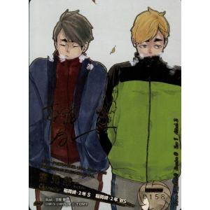 宮兄弟(極P)(No.158) 極P HV-P02-077 ハイキューバボカ