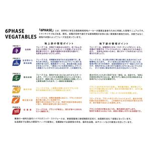 活力剤 発根剤 CANNA RHIZOTONI...の詳細画像5