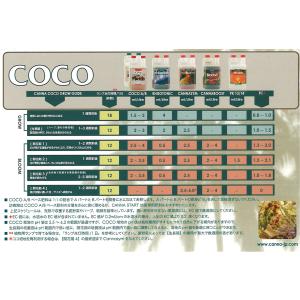 活力剤 CANNA BOOST (5L)の詳細画像1