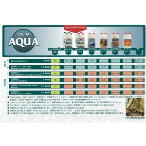 活力剤 CANNA BOOST (5L)の詳細画像2