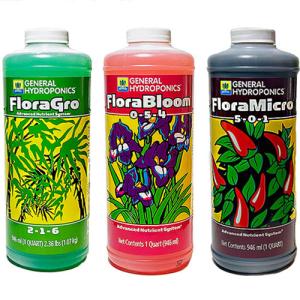 Clonex Rooting Gel（クロネクス ルーティングジェル）100ml : 室内