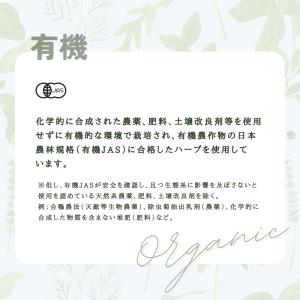 生活の木 公式 有機レモンバーベナ 100g ...の詳細画像2