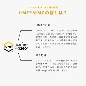 生活の木 公式 マヌカハニー MG40+ 25...の詳細画像4