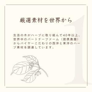 生活の木 公式 私の30日茶 高麗人参剛力ブレ...の詳細画像4