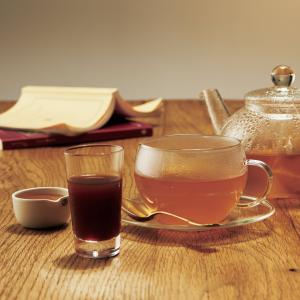 生活の木 公式 KOMBUCHA コンブチャエ...の詳細画像2