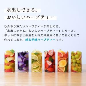 生活の木 公式 水出しできる。おいしいハーブテ...の詳細画像1