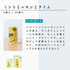 生活の木 公式 水出しできる。おいしいハーブテ...の詳細画像3