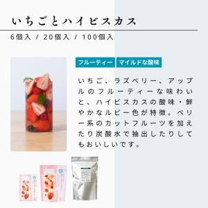 生活の木 公式 水出しできる。おいしいハーブテ...の詳細画像3