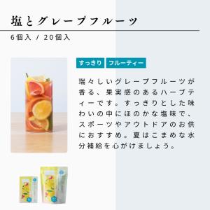 生活の木 公式 水出しできる。おいしいハーブテ...の詳細画像3