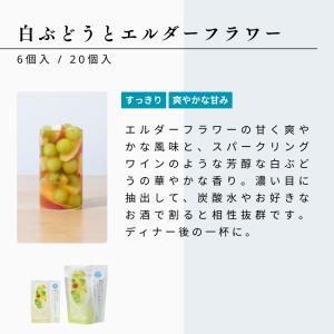 生活の木 公式 水出しできる。おいしいハーブテ...の詳細画像3