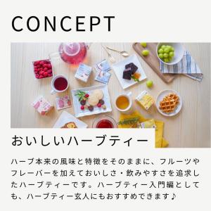 生活の木 公式 おいしいハーブティー10個入 ...の詳細画像1