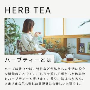 生活の木 公式 おいしいハーブティー10個入 ...の詳細画像2
