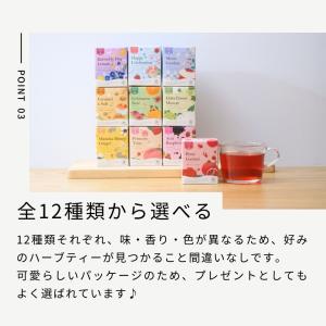 生活の木 公式 おいしいハーブティー10個入 ...の詳細画像5
