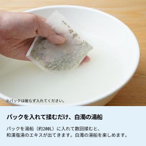 生活の木 公式 和漢塩湯 エプソムソルトと生姜...の詳細画像2