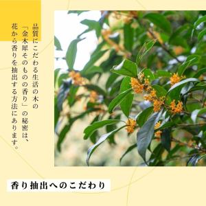生活の木 公式 金木犀 リードディフューザー ...の詳細画像3