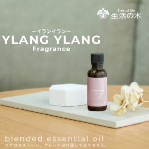 ドテラ クローブ 15ml シングルオイル【使用期限：2028年5月】 : N&H