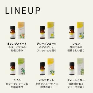 生活の木 公式 大人気エッセンシャルオイル12...の詳細画像2
