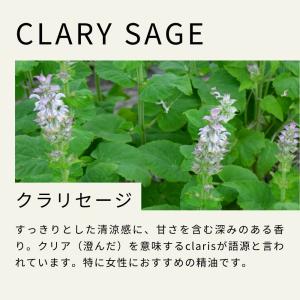 生活の木 公式 クラリセージ精油 / Clar...の詳細画像5