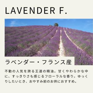 生活の木 公式 ラベンダー・フランス産(真正ラ...の詳細画像5