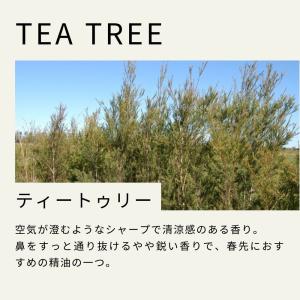 生活の木 公式 ティートゥリー精油 / Tea...の詳細画像5
