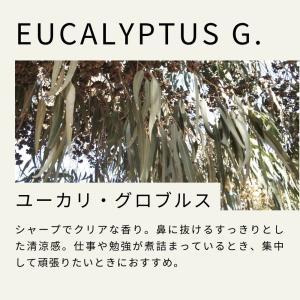 生活の木 公式 ユーカリ・グロブルス精油 / ...の詳細画像5