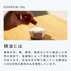 生活の木 公式 人気アロマ 選べる5本セット ...の詳細画像3