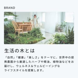 生活の木 公式 人気アロマ 選べる5本セット ...の詳細画像4