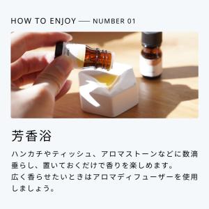生活の木 公式 人気アロマ 選べる5本セット ...の詳細画像5