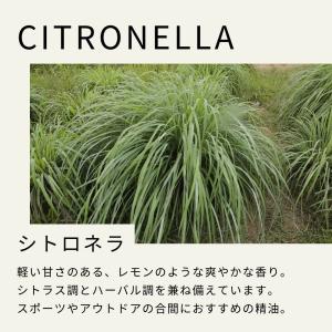 生活の木 公式 シトロネラ アウトドアスプレー...の詳細画像3