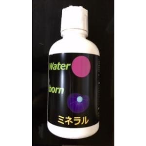 2本セット ビオライズ リナーシェ ドリンク ビオエンザイム 500ml