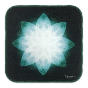 ロッキンジェリービーン STREET FIGHTER x Rockin'Jelly Bean