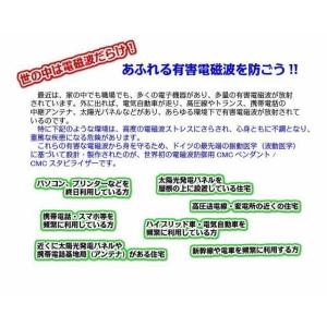 【新作】【正規販売店】wifi 5G対応!電磁...の詳細画像3