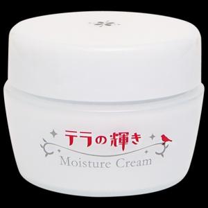 スキニティ セラムフォーカス クリーム 22g スキンケア SKINITY SERUM