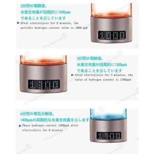 水素吸入器 水素生成器 1000-1400pp...の詳細画像4
