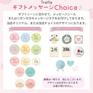 クリスマス リース レス イヴェール LEDス...の詳細画像5