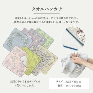 ロクシタン ハンドクリーム ギフト セット ミ...の詳細画像4