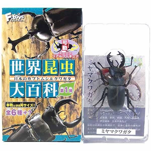 【5】 エフトイズ 世界昆虫大百科 第1弾 日本のカブトムシ＆クワガタ ミヤマクワガタ 単品