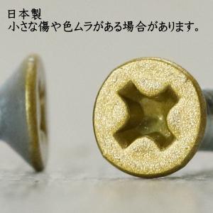 皿タッピンねじ (1本) 30mm ( スチー...の詳細画像2