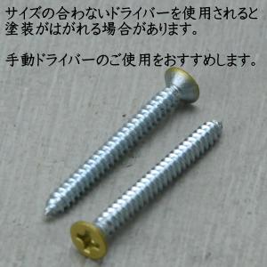 皿タッピンねじ (1本) 30mm ( スチー...の詳細画像3
