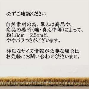 【現在8/11出荷】玄関マット 屋外用 おしゃ...の詳細画像3