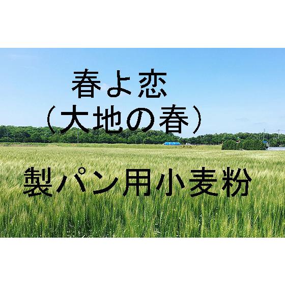 大地の春　春よ恋 25kg 北海道産小麦として高い評価を受けている「大地の春　春よ恋」を100％使用...