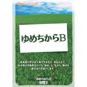 ゆめちからB　25kg。強さともっちりした弾力は パン、中華麺、生パスタ等幅広く個性を発揮します。