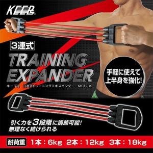 トレーニング エキスパンダー ３連式 背筋 胸筋 二の腕 引き締め 上半身 強化 ３段階調整 初心者 簡単【送料無料】