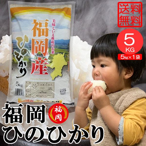 米5kg 米 5kg ひのひかり 1袋 送料無料 白米 精米 福岡県産 お米 ヒノヒカリ こめ